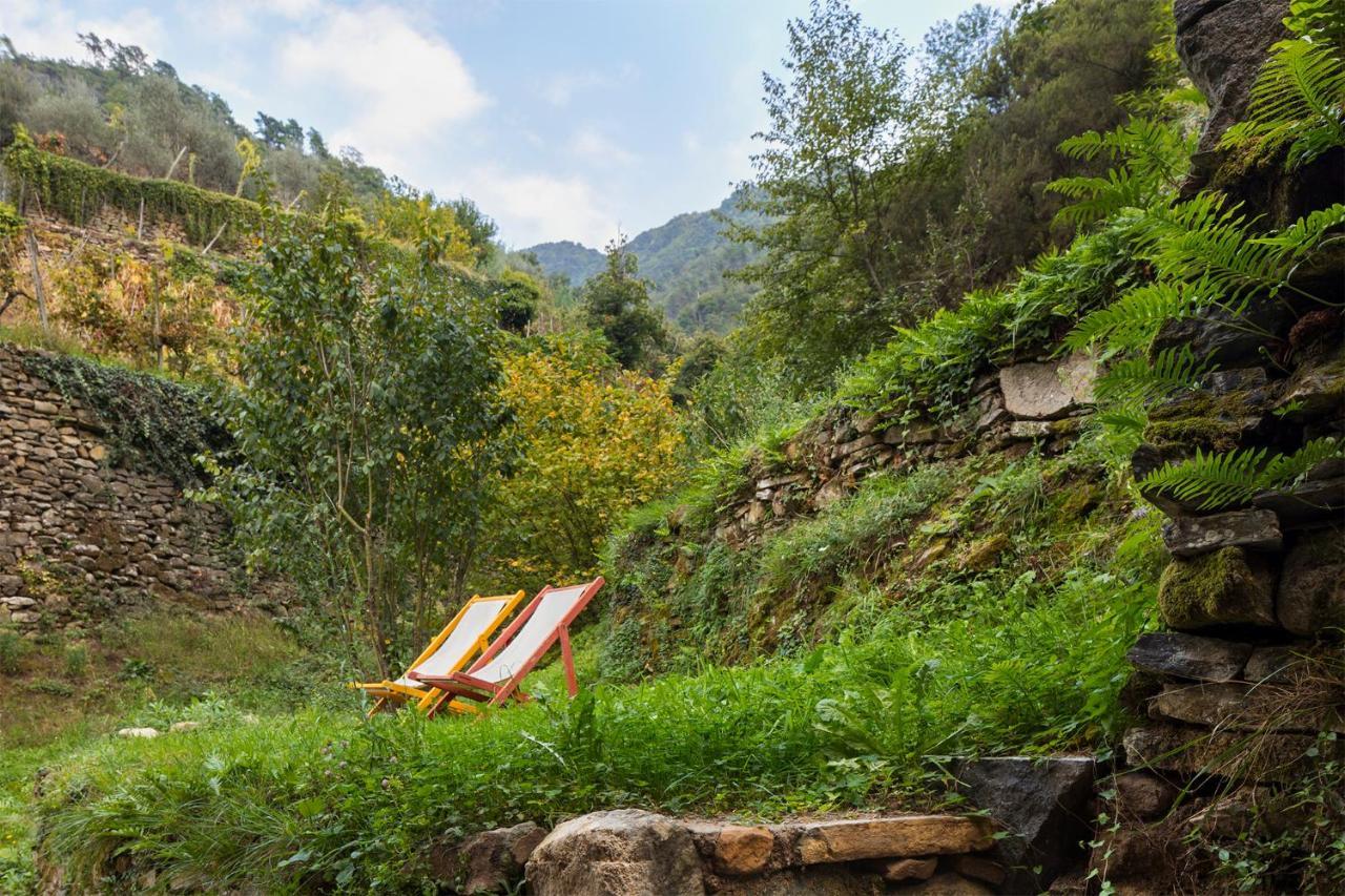 Agriturismo L'Adagio Badalucco Kültér fotó